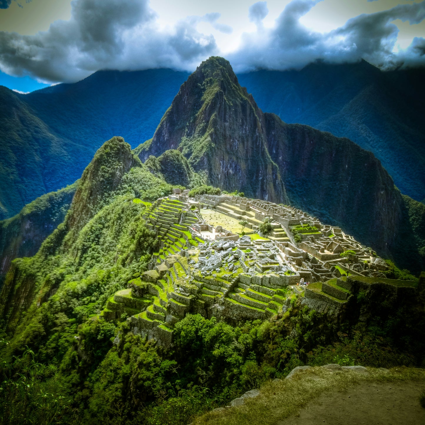 Peru Frontera (Swiss Water Decaf)